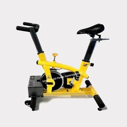 Pedal Power Stationary Bicycle Dynamo Generator (12V/300W Output)